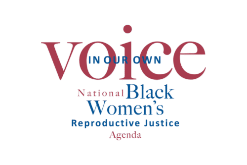 Logo reading ‘In Our Own Voice: National Black Women’s Reproductive Justice Agenda’ in red and blue text on a black background.